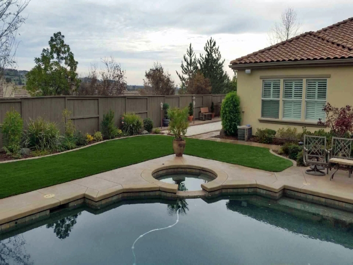 Synthetic Turf Mount Charleston Nevada Landscape