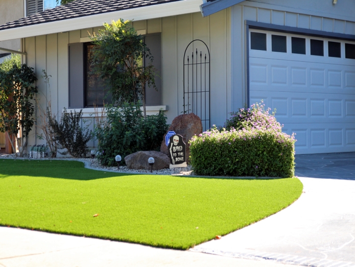 Synthetic Turf Nellis Air Force Base Nevada Lawn