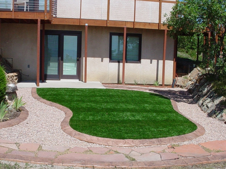Synthetic Turf Nelson Nevada Landscape