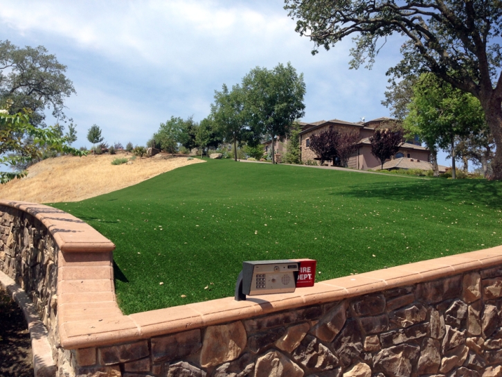 Synthetic Turf Nelson Nevada Lawn