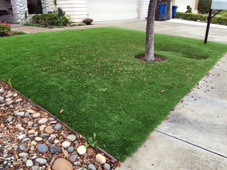 Synthetic Turf North Las Vegas Nevada Lawn