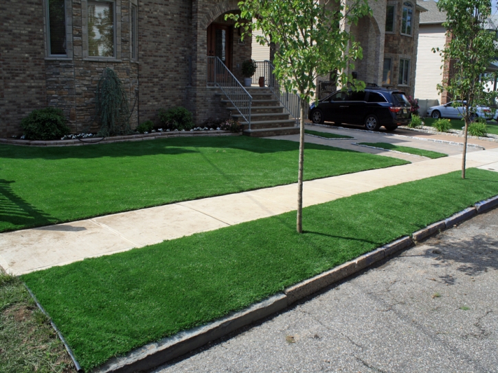 Synthetic Turf Pahrump Nevada Landscape