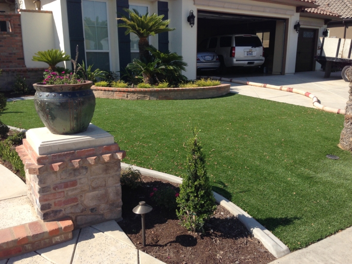 Synthetic Turf Paradise Nevada Landscape