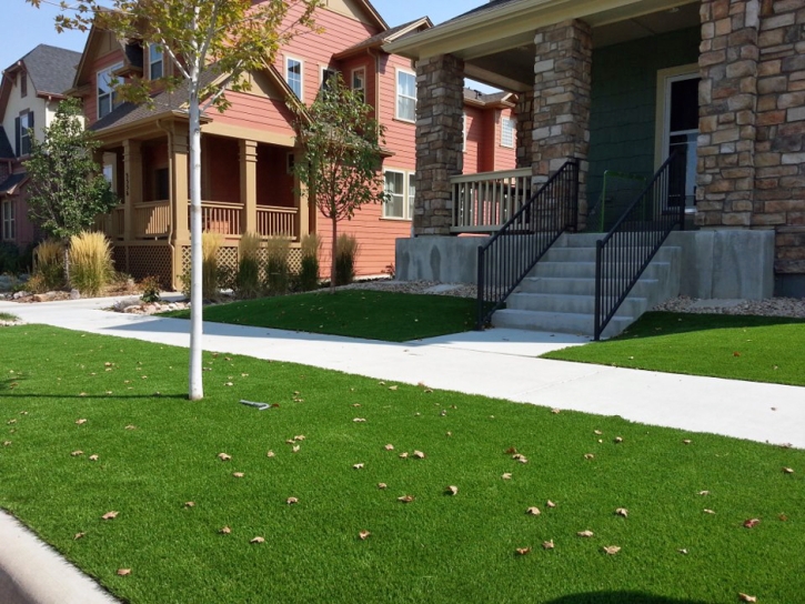 Synthetic Turf Paradise Nevada Lawn