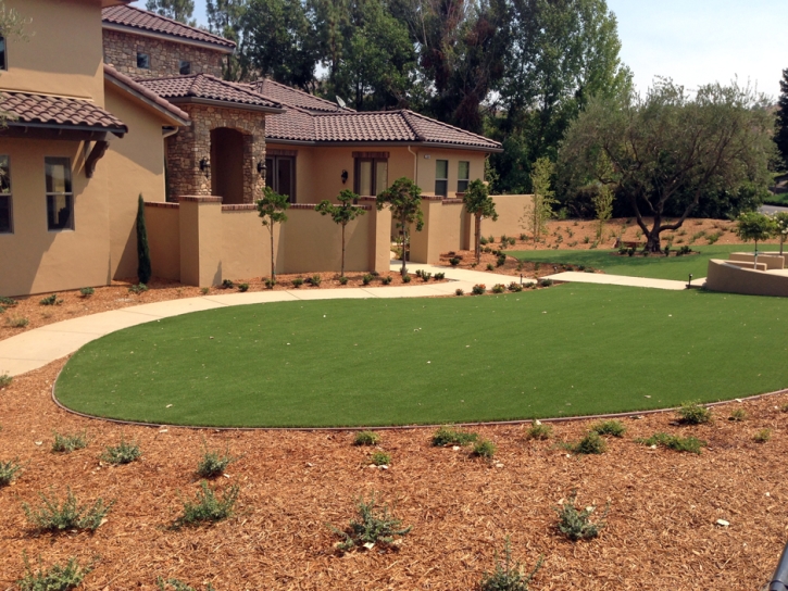 Synthetic Turf Sandy Valley Nevada Landscape