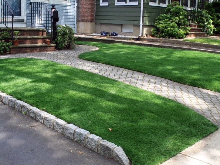 Synthetic Turf Sandy Valley Nevada Landscape