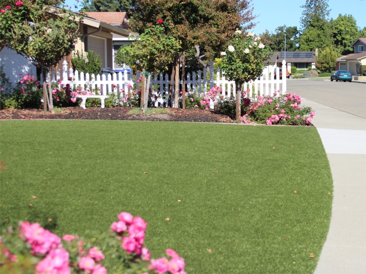 Synthetic Turf Searchlight Nevada Landscape