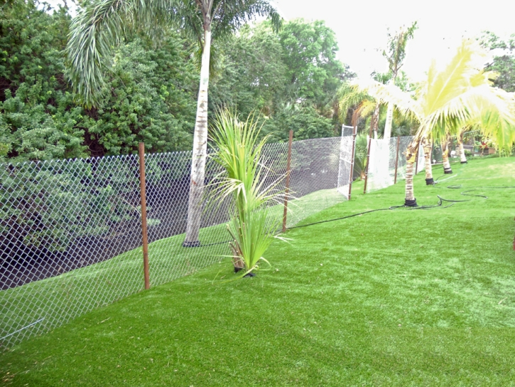 Synthetic Turf Spring Valley Nevada Lawn