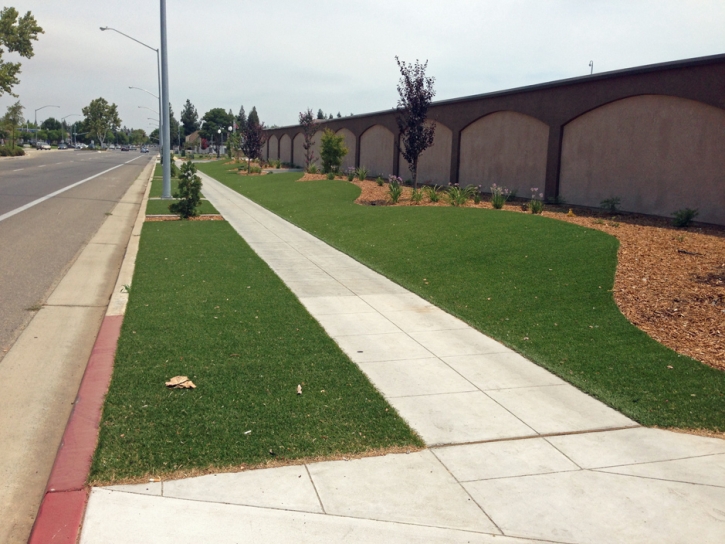 Synthetic Turf Spring Valley Nevada Landscape