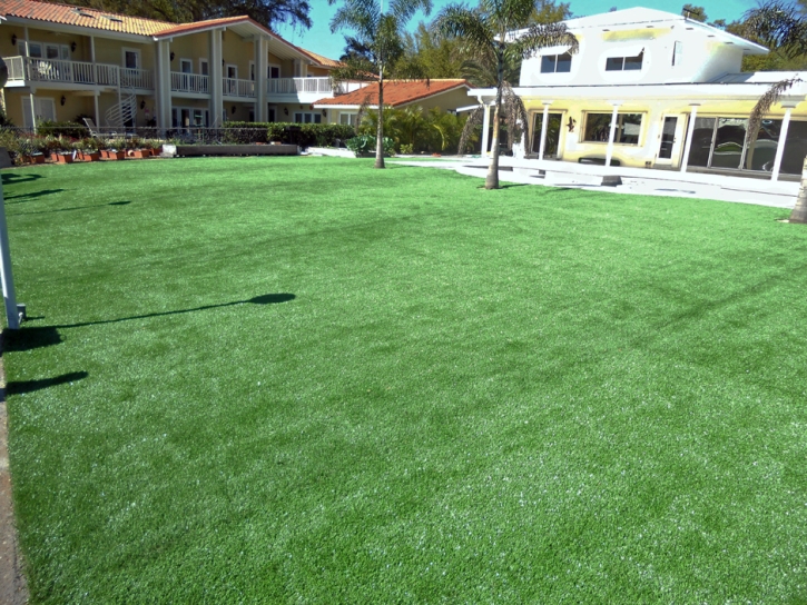 Synthetic Turf Sunrise Manor Nevada Lawn