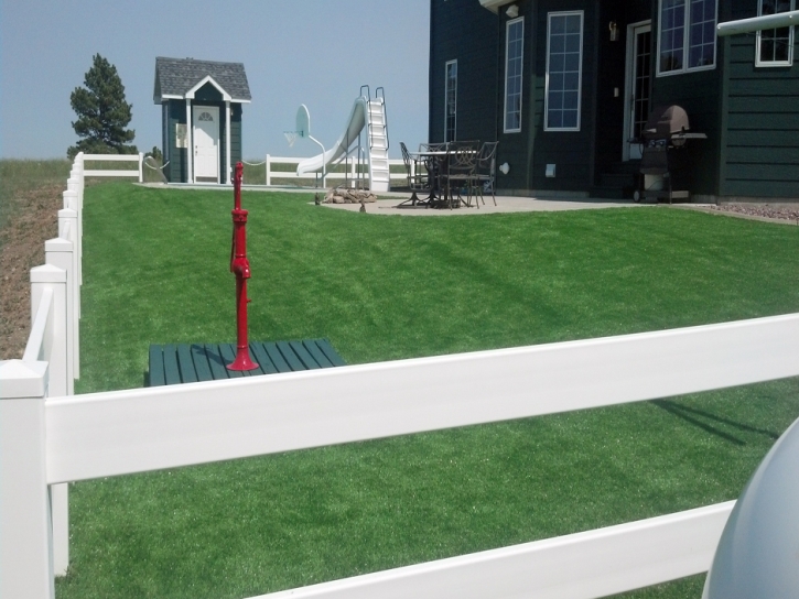 Synthetic Turf Sunrise Manor Nevada Landscape