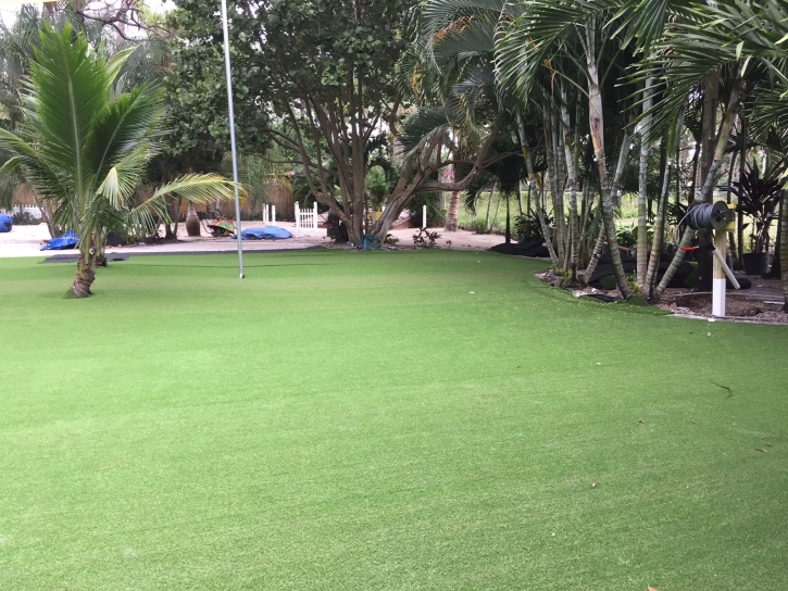 Synthetic Turf Supplier Austin, Nevada Landscaping Business, Commercial Landscape