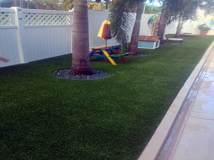 Synthetic Turf Whitney Nevada Landscape