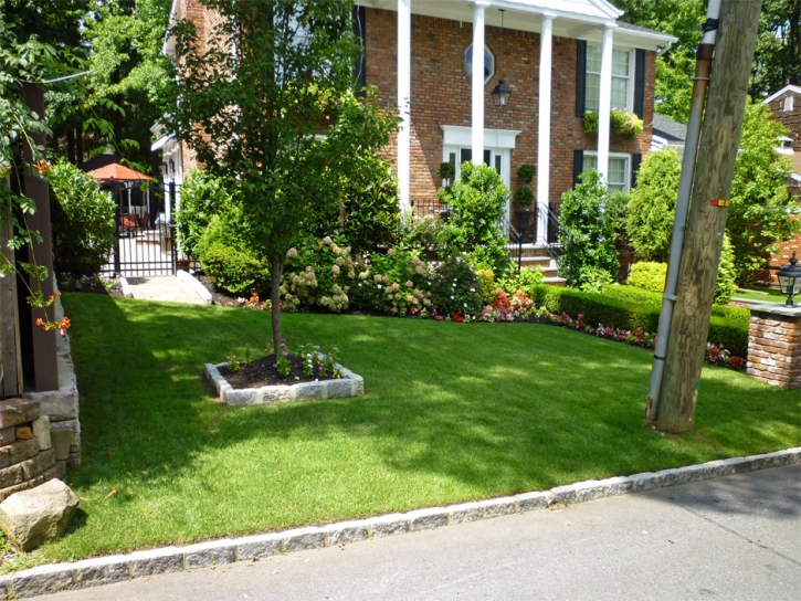 Synthetic Turf Whitney Nevada Lawn