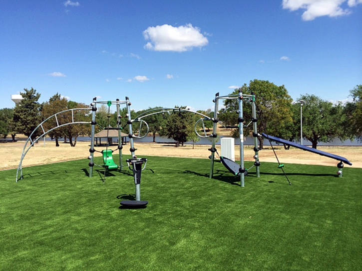 Synthetic Turf Whitney Nevada School