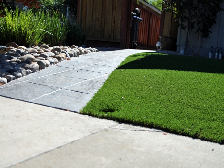 Synthetic Turf Winchester Nevada Landscape