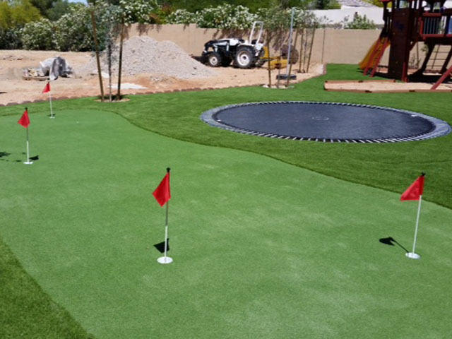 Turf Grass Silver Peak, Nevada Putting Green Grass, Backyards